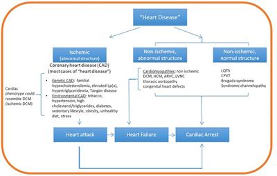 Evolving cardiovascular genetic counseling needs in the era of precision medicine